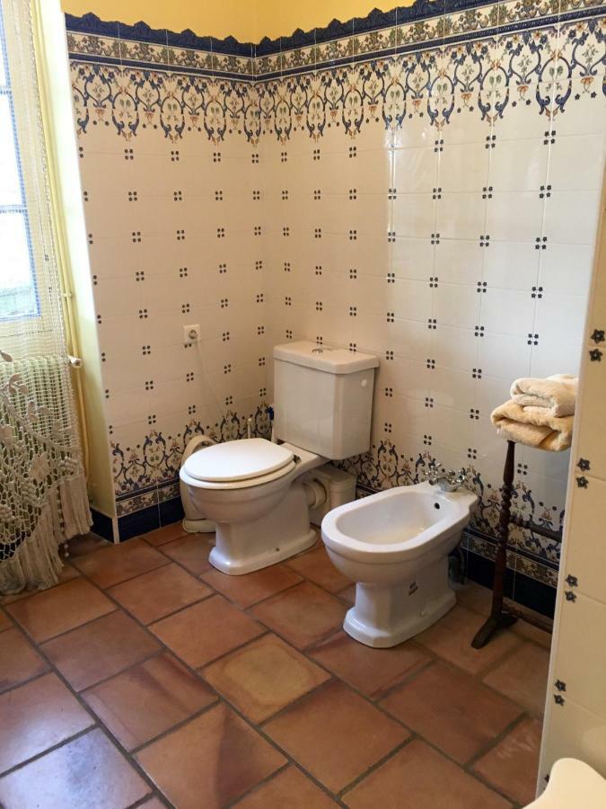 Bed and Breakfast Domaine Du Faget Montauban Esterno foto